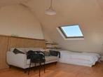 Studio Celebesstraat in Groningen, Overige soorten, Groningen