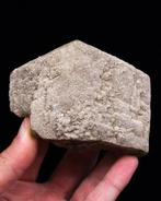 (Europese Classic) Dolomite Bedekte SIDERITE - Hoogte: 6.8