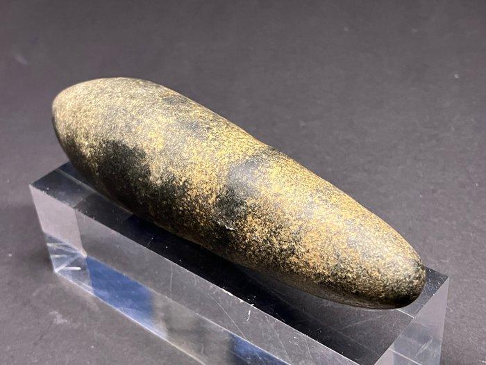Neolithisch Steen Werktuig - 110 mm - Polished Adze, Antiek en Kunst, Antiek | Overige Antiek