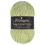 Scheepjes Truly Scrumptious - 337 Key Lime Pie - Garen van, Ophalen of Verzenden, Nieuw