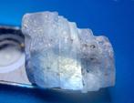 12 cts - onbehandelde saffier - Ruw- 2.4 g