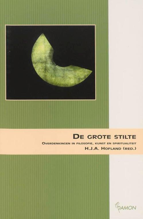 De grote stilte 9789055738144, Boeken, Filosofie, Gelezen, Verzenden