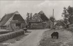 ORVELTE - Dorpsgezicht, Verzenden, Gelopen