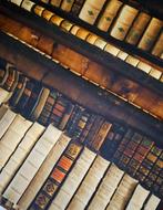 Stof met realistische antieke bibliotheek! Vintage retro, Antiek en Kunst