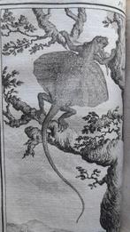 Buffon - Histoire naturelle: les ovipares (tome 2) / Théorie