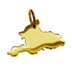 Gouden Provincie Gelderland ketting hanger, Verzenden, Nieuw