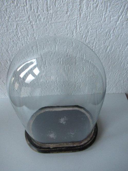 Stolp - Glas en hout - 1900-1910, Antiek en Kunst, Antiek | Overige Antiek