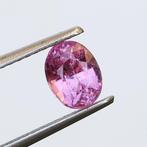 1 pcs Roze Saffier - 0.97 ct - International Gemological, Nieuw