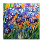 Olivier Pfleger - Mandrafina  Iris bleus