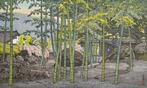 Shinsenkyo, Hakone (Bamboo Garden, Hakone Museum) - Toshi