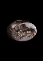 West-Aziatisch Donkerbruine hardsteen Stempel met viervoeter