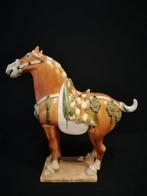 Tang paard - Aardewerk - China