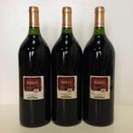 1995 Barón de Oña - Rioja Reserva - 3 Magnums (1.5L), Verzamelen, Wijnen, Nieuw