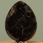 Septaria Wild Black Crystals Fine Large Wild Septaria Black, Verzamelen, Mineralen en Fossielen