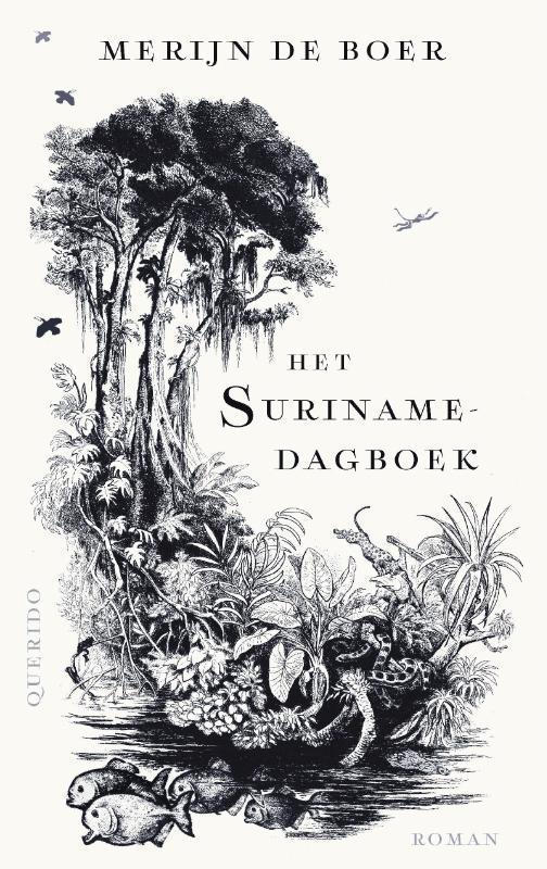 Het Surinamedagboek 9789021475608 Merijn de Boer, Boeken, Romans, Gelezen, Verzenden
