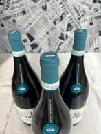 2023 Braida “Giacomo Bologna“ La Monella - Barbera del, Verzamelen, Nieuw