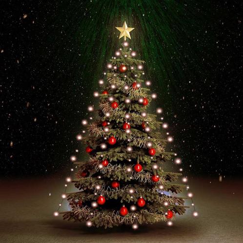vidaXL Kerstboomverlichting met 210 LEDs net 210 cm, Tuin en Terras, Buitenverlichting, Nieuw, Verzenden