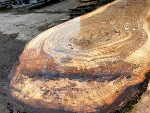 10X Boomstambladen, eik, complete partij 2250,- REF 771, Doe-het-zelf en Verbouw, Hout en Planken, Eiken, 300 cm of meer, 50 mm of meer
