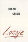 Hoezo crisis 9789022987957 Loesje, Verzenden, Gelezen, Loesje
