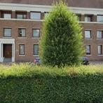 Woning te huur in Tilburg - 1 m² - 1 kamer(s), Overige soorten, Tilburg, Noord-Brabant