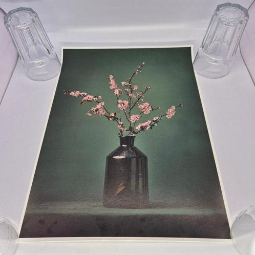 Tessa Posthuma de Boer - Blossom No 1, Verzamelen, Pennenverzamelingen