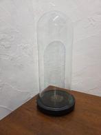 Globe - stolp - antiek - 1901-1920 - Antieke ronde stolp, Antiek en Kunst