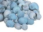 Nattai schelpen blue washed, 500 gram, Ophalen of Verzenden, Nieuw