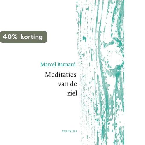 Meditaties van de ziel 9789086598052 Marcel Barnard, Boeken, Godsdienst en Theologie, Gelezen, Verzenden