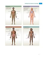 Anatomie en fysiologie 6e expert college editi 9789043035873, Zo goed als nieuw