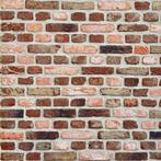 Verouderde gevelsteen Kempisch Rustica Moduul 50 per pallet, Ophalen of Verzenden, Nieuw