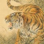 Roaring Fierce Tiger in Bushes with Original Box (Tomobako)