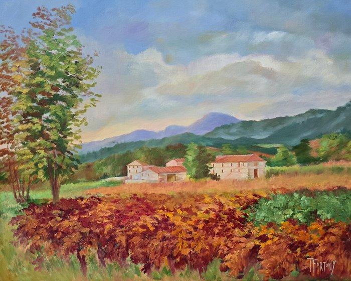 Teresa Fortuny (1943) - NO RESERVE - La calma del campo, Antiek en Kunst, Kunst | Schilderijen | Klassiek