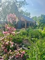 Per direct huur ruime woning in Gouderak, Gouderak, Direct bij eigenaar
