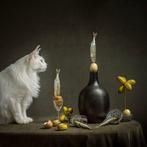 Elena Paraskeva - Le Chat Curieux