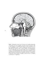 Wij zijn ons brein 9789046705063, Verzenden, Zo goed als nieuw