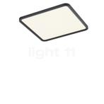 Helestra Vesp Plafondlamp LED, zwart - 61 x 61 cm, Verzenden, Nieuw