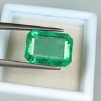 Smaragd - 6.91 ct - International Gemological Institute, Sieraden, Tassen en Uiterlijk, Edelstenen, Nieuw