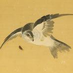 Hawk Targeting Wild Geese in Water - with signature