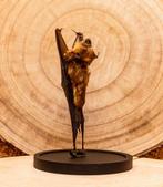 Vleermuis Taxidermie volledige montage - Hipposidorus, Nieuw