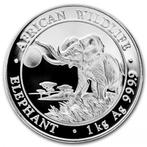 Somalische Olifant 1 kg 2016, Postzegels en Munten, Zilver, Losse munt, Overige landen, Verzenden