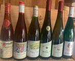 1964 Weingut Jackob Gerhardt, 1967 Dürkheimer Spielberg,, Nieuw