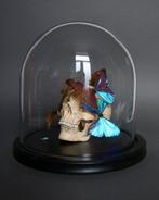 Vlinder Taxidermie volledige montage - Vanité x Morpho, Antiek en Kunst, Curiosa en Brocante