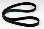Multiriem PK 1253 mm 6 banen. Volvo 850, S/V70, S/V90, Auto-onderdelen, Motor en Toebehoren, Ophalen of Verzenden, Nieuw