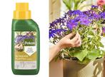 Pokon Bloeiende Planten Voeding 250ml, Huis en Inrichting, Verzenden