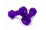 Dumbell combinatie set 10 kg totaal - met koffer, Ophalen of Verzenden, Nieuw