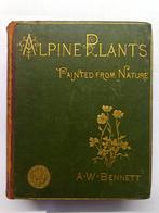 Alfred W. Bennett/Joseph Seboth - Alpine Plants Painted From