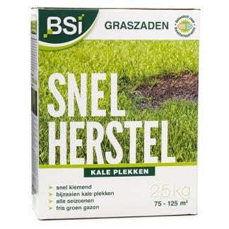 Graszaad herstel | BSI | 75 - 125 m² (Snel kiemend, 2.5 kg), Tuin en Terras, Gras en Kunstgras, Nieuw, Verzenden