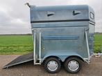 1,5 paards lichtgewicht trailer met aluminium bodem, Polyester, Gebruikt, 1½-paards trailer