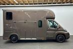Citroen Jumper  Horsetruck, Dieren en Toebehoren, Paarden en Pony's | Trailers en Aanhangwagens, Verzenden, Gebruikt