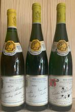 1989 x2, 1979 Kaseler Nies‘ chen, Bischöfliche, Verzamelen, Nieuw